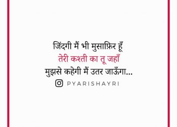 जिंदगी मैं भी मुसाफ़िर हूँ तेरी कश्ती का तू जहाँ मुझसे कहेगी मैं उतर जाऊँगा !