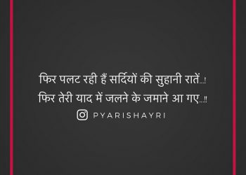 फिर पलट रही हैं सर्दियों की सुहानी रातें...!